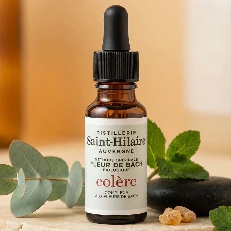 Fleur de Bach Colère Bio 20ml Saint-Hilaire avec feuilles vertes et pierres lisses pour bien-être émotionnel