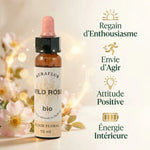 Fleur de Bach Eglantier Bio 10ml Dioter avec bénéfices : enthousiasme, énergie positive