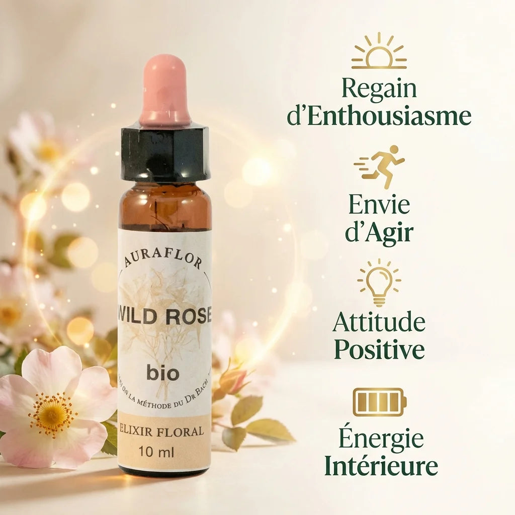 Fleur de Bach Eglantier Bio 10ml Dioter avec bénéfices : enthousiasme, énergie positive