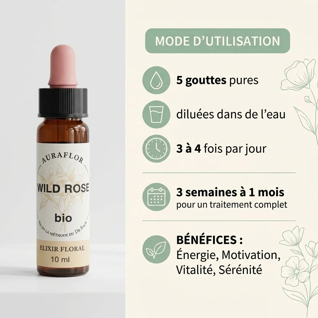 Fleur de Bach Eglantier Bio 10ml Dioter - Flacon avec posologie et bénéfices bien-être