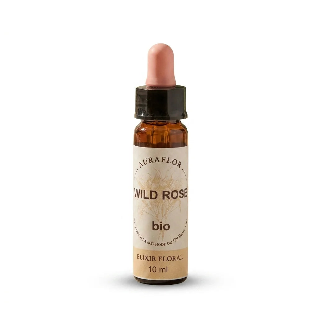 Fleur de Bach Eglantier Bio 10ml en flacon verre ambre avec pipette rose