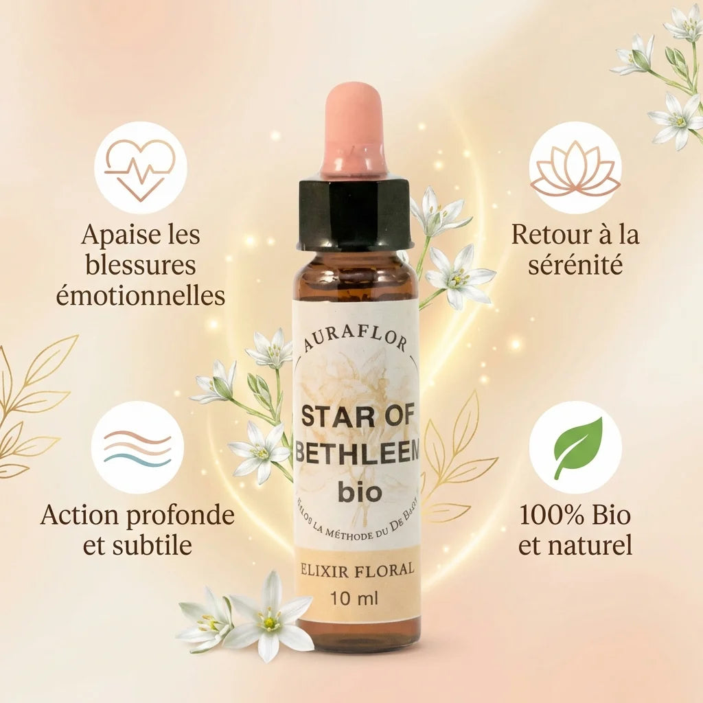 Fleur de Bach Etoile de Bethléem Bio 10ml Dioter avec bénéfices et icônes botaniques