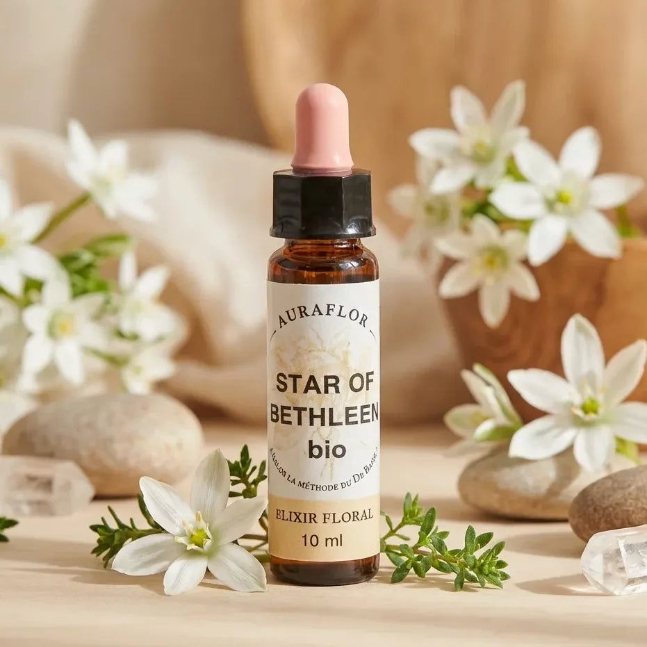 Fleur de Bach Etoile de Bethléem Bio 10ml Dioter avec fleurs blanches et cristaux bien-être