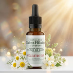 Fleur de Bach Examens 20ml Distillerie Saint-Hilaire avec fleurs et lumière dorée