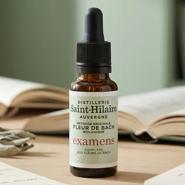 Fleur de Bach Examens 20ml Distillerie Saint Hilaire avec notes d'étude et ambiance apaisante