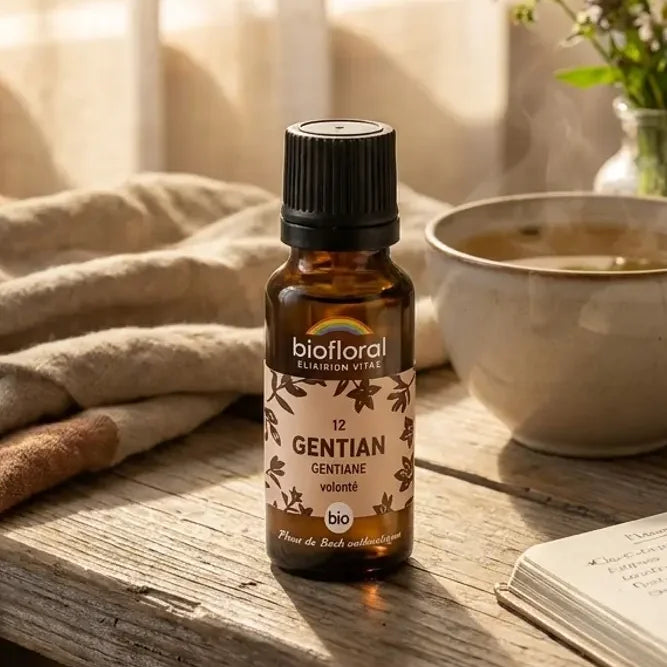 Flacon ambré Fleur de Bach Gentiane Bio en granules sur un rebord de fenêtre, près d'une tasse de tisane
