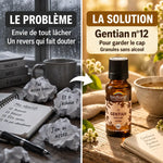 Granules Fleur de Bach Gentian Bio Biofloral 19,5 g : flacon ambré en vedette, visuel problème-solution sur fond doré