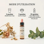 Fleur de Bach Gentiane bio 10ml avec posologie d'utilisation, gouttes sous la langue ou diluées dans l'eau