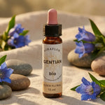 Fleur de Bach Gentiane bio 10ml Dioter avec fleurs de gentiane et pierres lisses