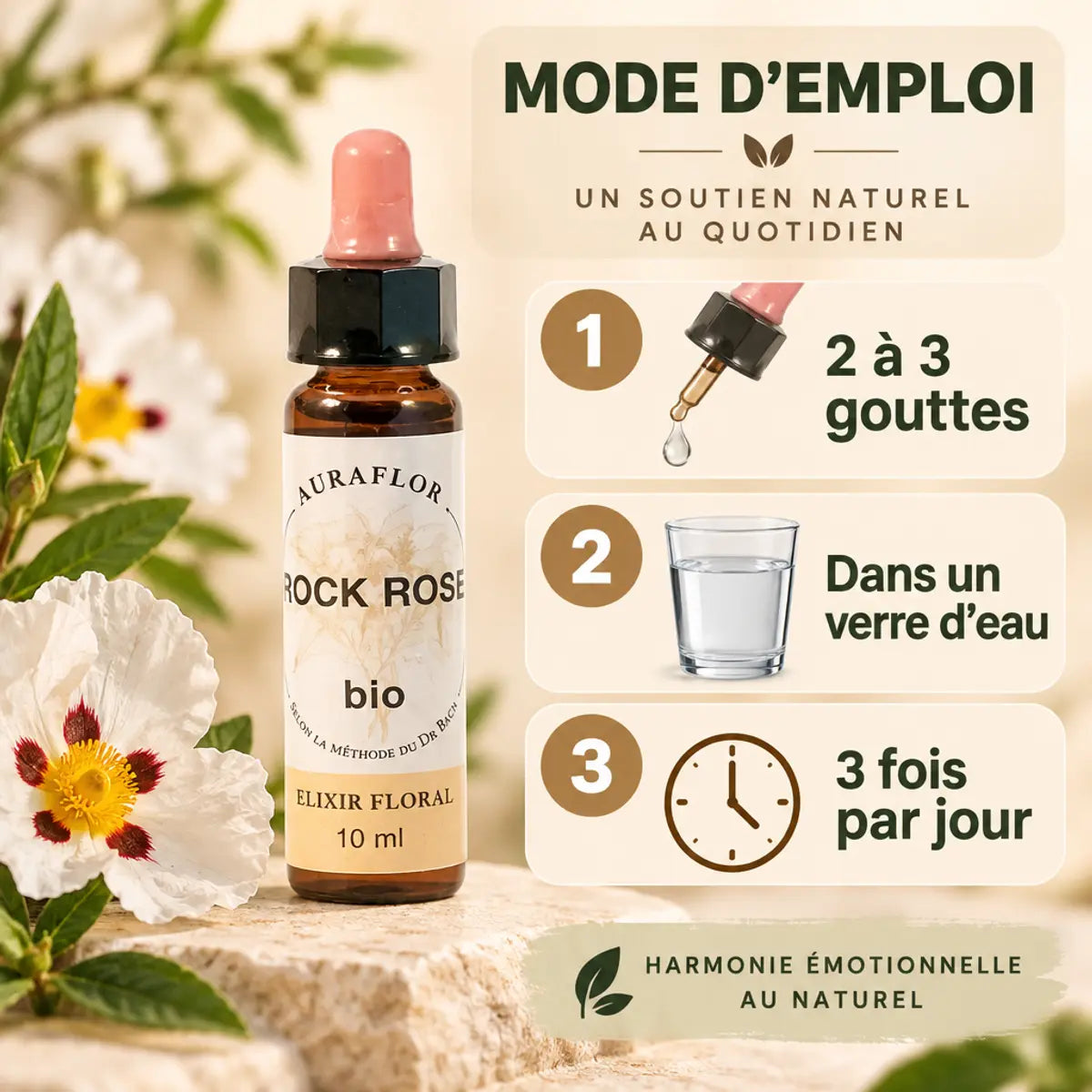 Fleur de Bach Hélianthème Bio 10ml avec mode d'emploi : 2-3 gouttes, 3 fois par jour dans l'eau