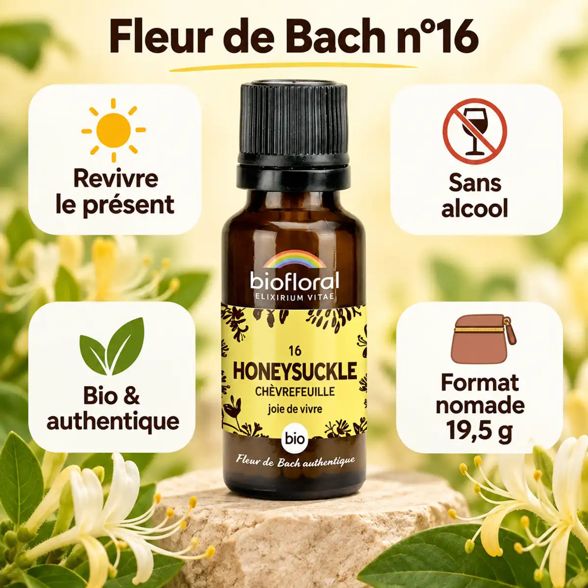 Flacon de Fleur de Bach Chevrefeuille n°16 Biofloral bio en granules 19,5 g, sur fond crème avec mentions bienfaits