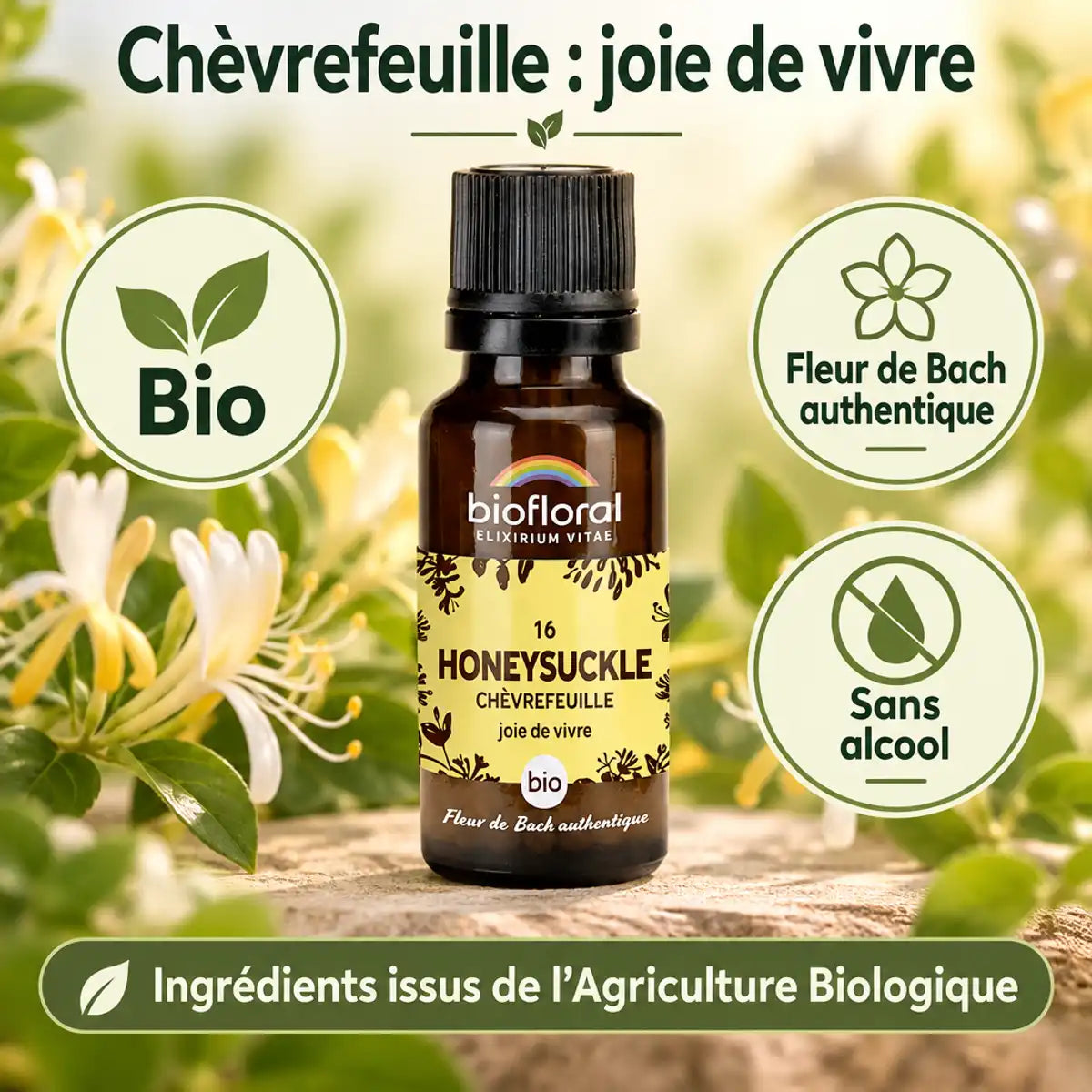 Flacon Biofloral Fleur de Bach Chèvrefeuille Bio en granules 19,5 g, fond crème et sauge, badges Bio et sans alcool