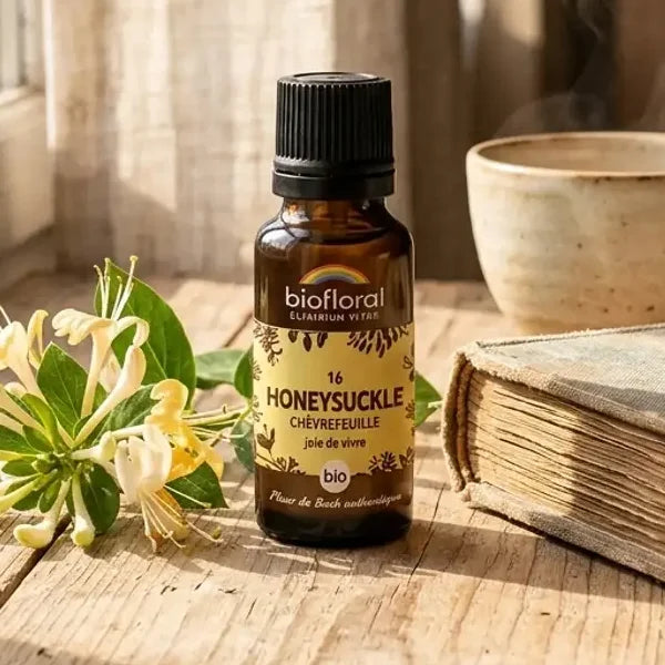 Fleur de Bach Honeysuckle Chevrefeuille Bio en granules, flacon ambre près d'une branche fleurie sur un rebord de fenêtre