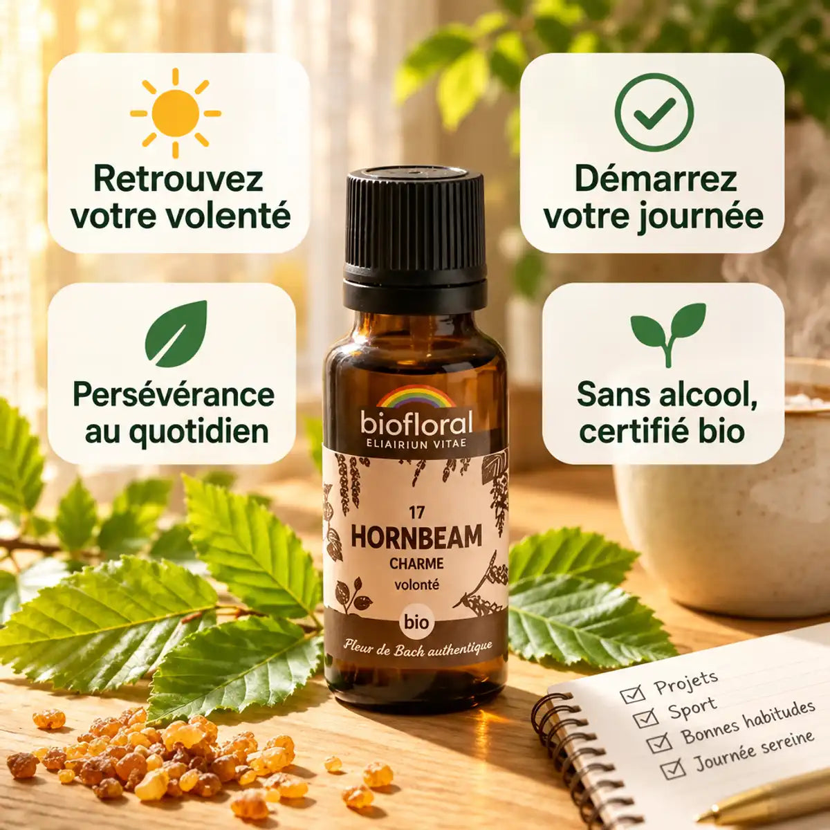 Fleur de Bach Charme (Hornbeam) Biofloral en granules 19,5 g, bouteille ambrée avec feuilles de charme et granules dorés