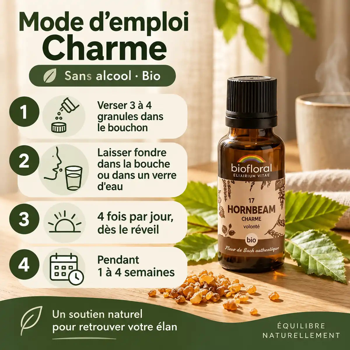 Fleur de Bach Charme (Hornbeam) Bio Biofloral en granules, flacon ambré, feuilles vertes et mode d'emploi en 4 étapes