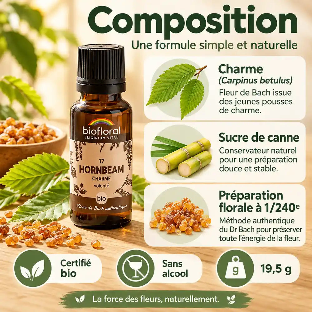 Fleur de Bach Charme Hornbeam bio en granules 19,5 g Biofloral, flacon ambre avec feuilles de charme et sucre de canne