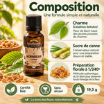 Fleur de Bach Charme Hornbeam bio en granules 19,5 g Biofloral, flacon ambre avec feuilles de charme et sucre de canne