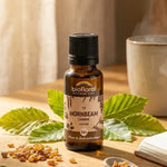 Fleur de Bach Hornbeam Charme Biofloral en granules 19,5 g sur table de cuisine avec feuilles de charme et café