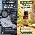 Flacon Fleur de Bach Hornbeam Charme Bio en granules Biofloral, solution naturelle pour retrouver la volonté