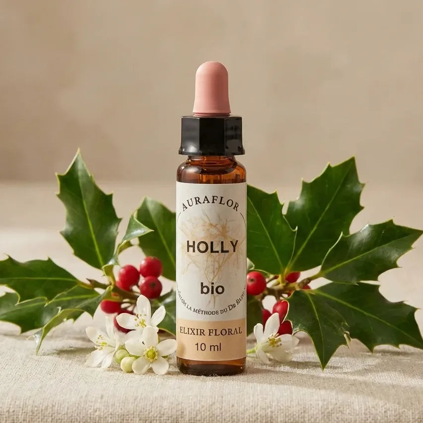 Fleur de Bach Houx bio 10ml Dioter - Flacon en verre ambré avec feuilles de houx frais