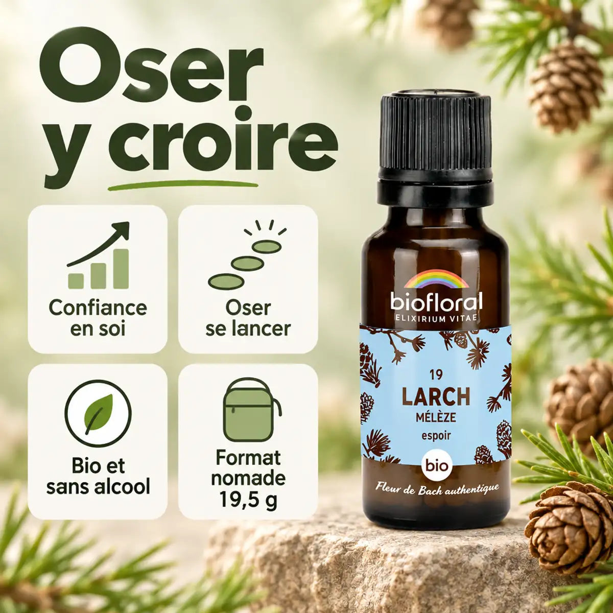Fleur de Bach Larch Mélèze Bio en granules 19,5 g Biofloral : flacon ambré sur fond sauge, icônes confiance et bien-être