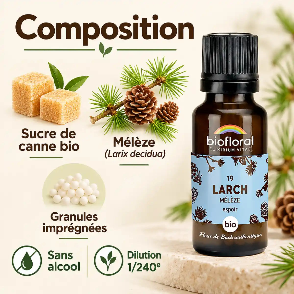 Fleur de Bach Mélèze Biofloral en granules 19,5 g : flacon ambré et composition sur fond crème