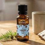Flacon compte-gouttes ambré de Fleur de Bach Larch (Mélèze) Bio Biofloral sur table en bois, lumière matinale