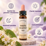 Fleur de Bach Marronnier Blanc bio 10ml - Apaise pensées obsédantes et clarté mentale