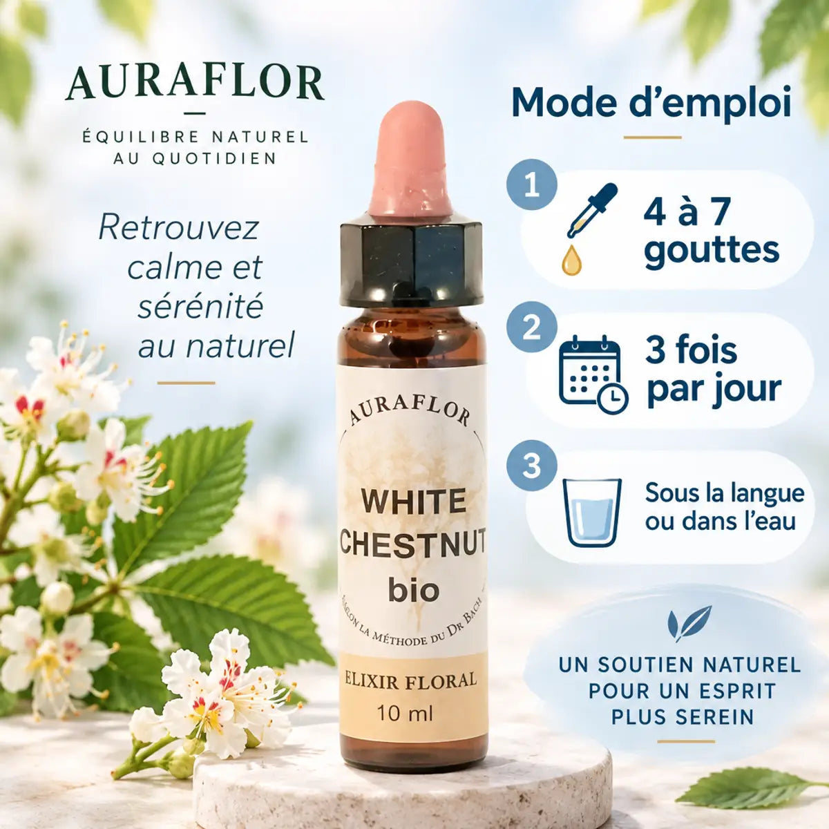 Fleur de Bach Marronnier Blanc bio 10ml Dioter avec mode d'emploi et instructions de dosage