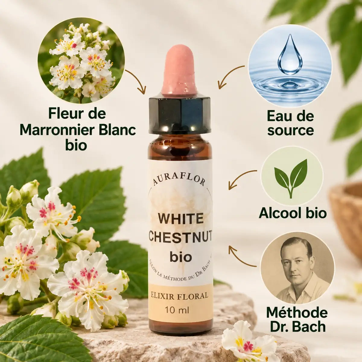 Fleur de Bach Marronnier Blanc bio 10ml Dioter avec ingrédients et méthode Dr. Bach