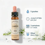 Fleur de Bach Mélèze Bio 10ml Dioter avec instructions posologie et dosage