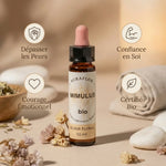Fleur de Bach Mimule bio 10ml Dioter - Flacon verre avec bénéfices confiance et courage