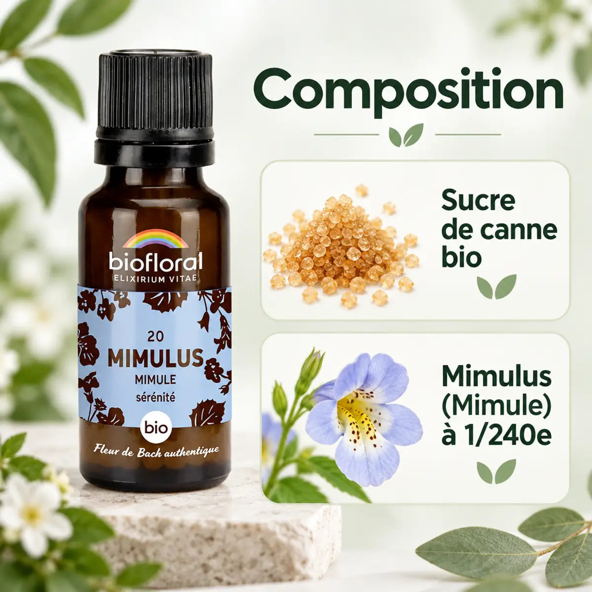 Flacon Biofloral Fleur de Bach Mimulus (Mimule) bio en granules 19,5 g, avec composition sucre de canne et fleur de Mimule