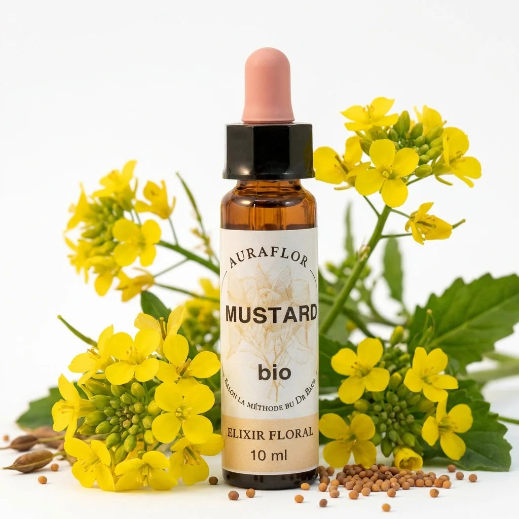 Fleur de Bach Moutarde Bio 10 ml bouteille verre ambré avec fleurs et éléments botaniques naturels