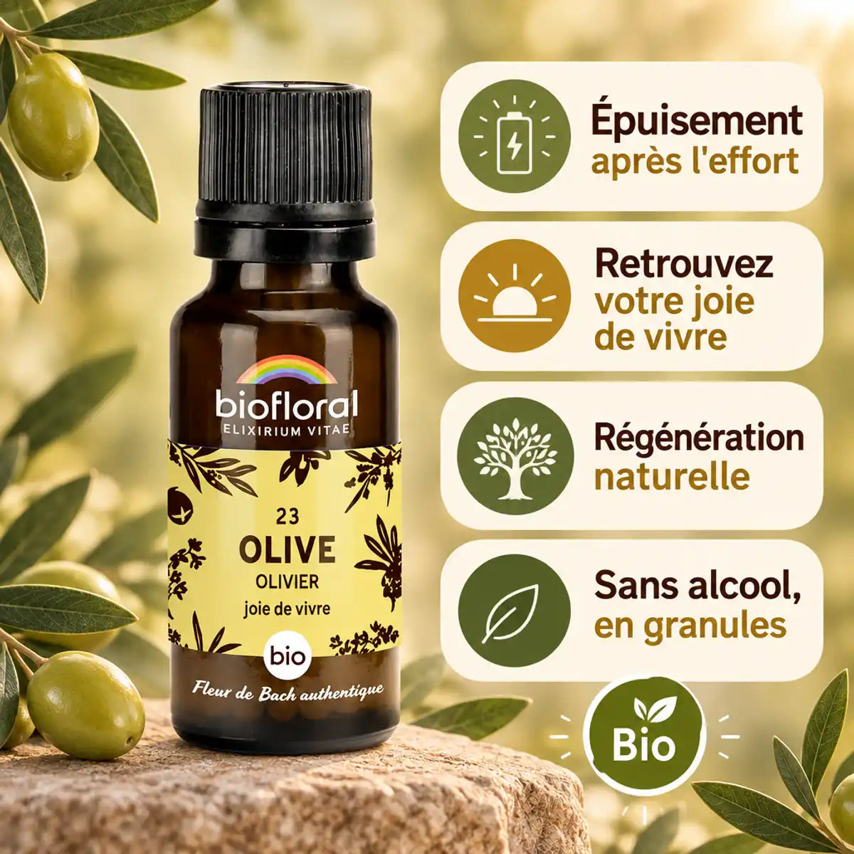Flacon de Fleur de Bach Olive Bio en granules Biofloral, entouré de textes sur l'épuisement, la joie de vivre et la régénération