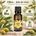 Fleur de Bach Olive Bio en granules Biofloral 19,5 g : flacon ambré avec étiquette olivier, fond vert sauge et crème