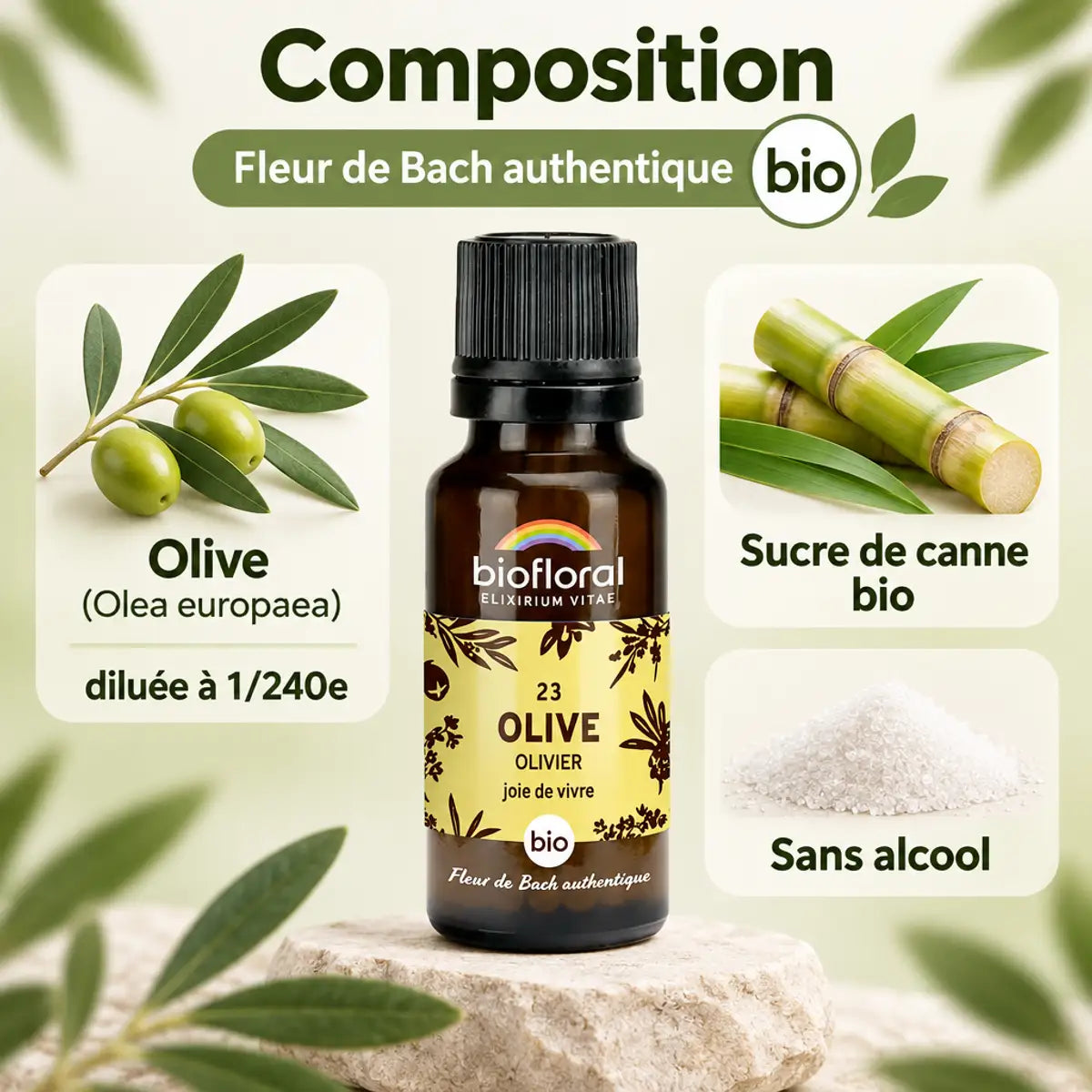 Fleur de Bach Olive Bio en granules 19,5 g : flacon Biofloral sur fond olive, composition olive et sucre de canne bio