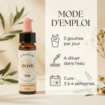 Fleur de Bach Olivier Bio 10ml avec mode d'emploi et dosage recommandé