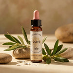 Fleur de Bach Olivier Bio 10ml Dioter avec branches d'olivier et pierres naturelles