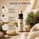 Fleur de Bach Pin Sylvestre bio 10ml Dioter avec mode d'emploi et dosage