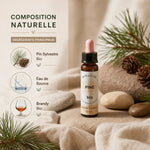 Fleur de Bach Pin Sylvestre bio 10ml Dioter avec composition naturelle et ingrédients