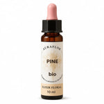 Fleur de Bach Pin Sylvestre bio 10 ml Dioter - Flacon compte-gouttes en verre ambré
