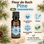 Fleur de Bach Pine bio en granules 19,5 g Biofloral : flacon ambré avec étiquette bleue, icônes bien-être sur fond crème