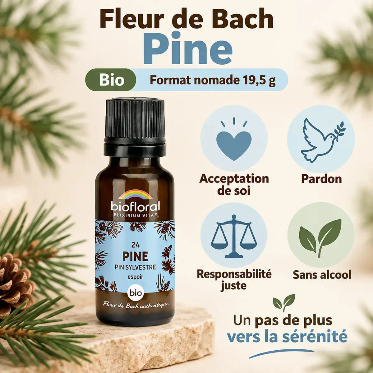 Fleur de Bach Pine bio en granules 19,5 g Biofloral : flacon ambré avec étiquette bleue, icônes bien-être sur fond crème
