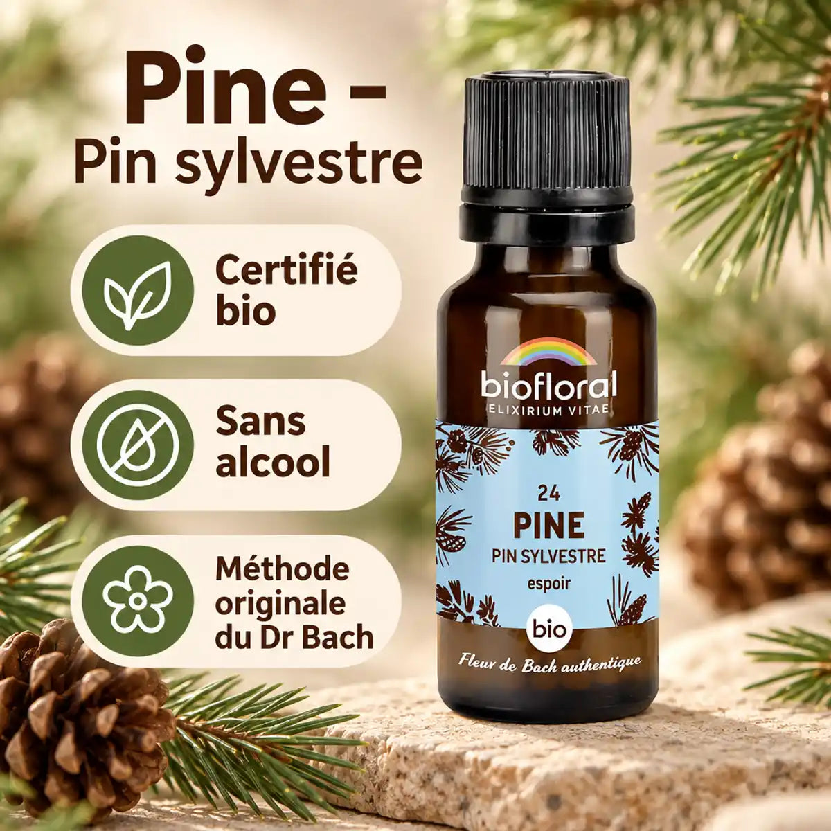 Flacon en verre ambré de Fleur de Bach Pine (Pin sylvestre) Bio Biofloral, sur fond beige avec branches de pin