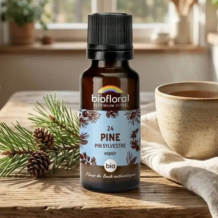 Flacon en verre ambré de Fleur de Bach Pine (pin sylvestre) bio en granules, sur table en chêne dans une cuisine lumineuse