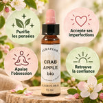 Fleur de Bach Pommier Sauvage Bio 10ml Dioter avec bénéfices: purifie, accepte, apaise, confiance