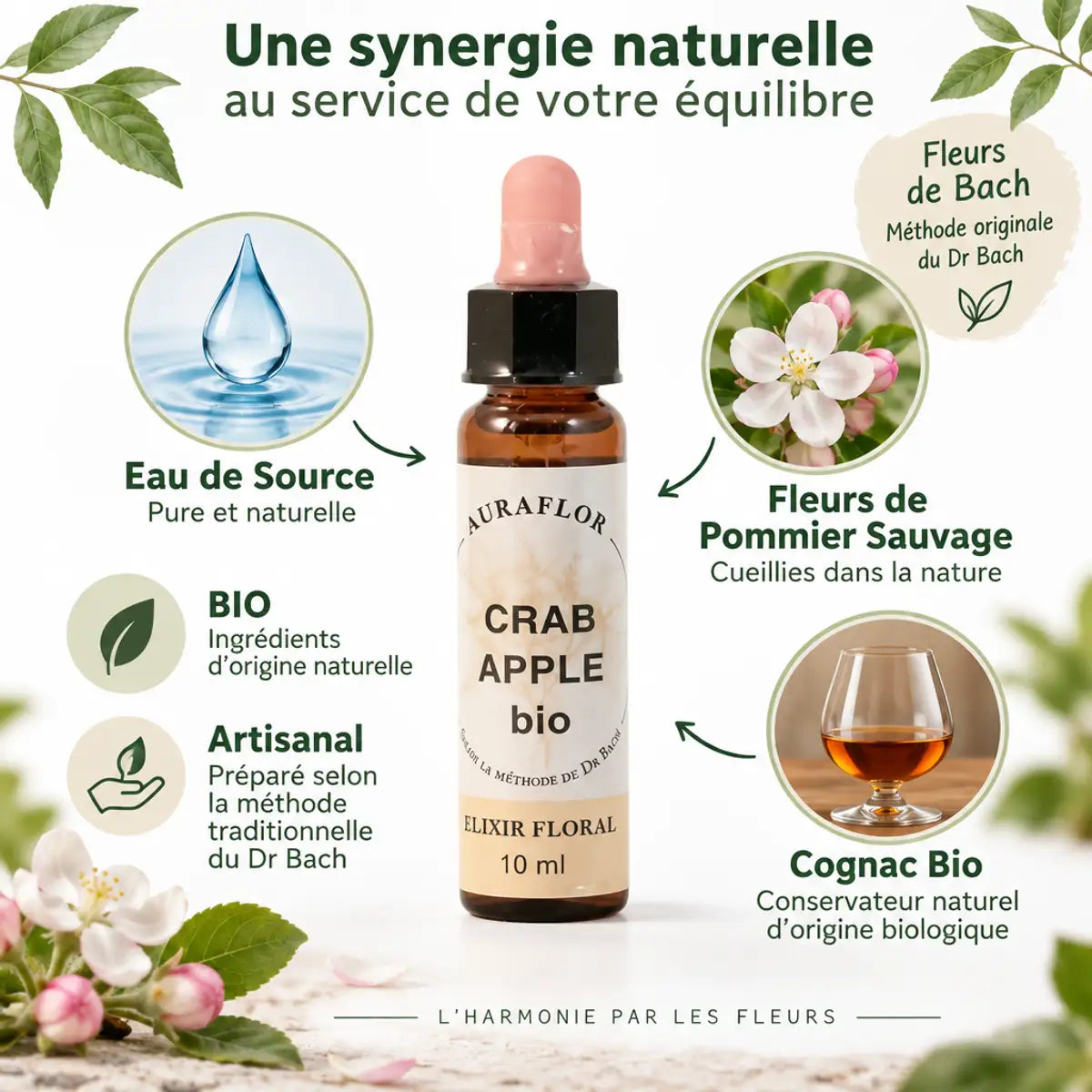 Fleur de Bach Pommier Sauvage Bio 10ml Dioter - Essence florale naturelle en flacon