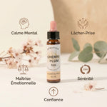 Fleur de Bach Prunus Bio 10ml Dioter avec bénéfices : calme, lâcher-prise, sérénité et confiance