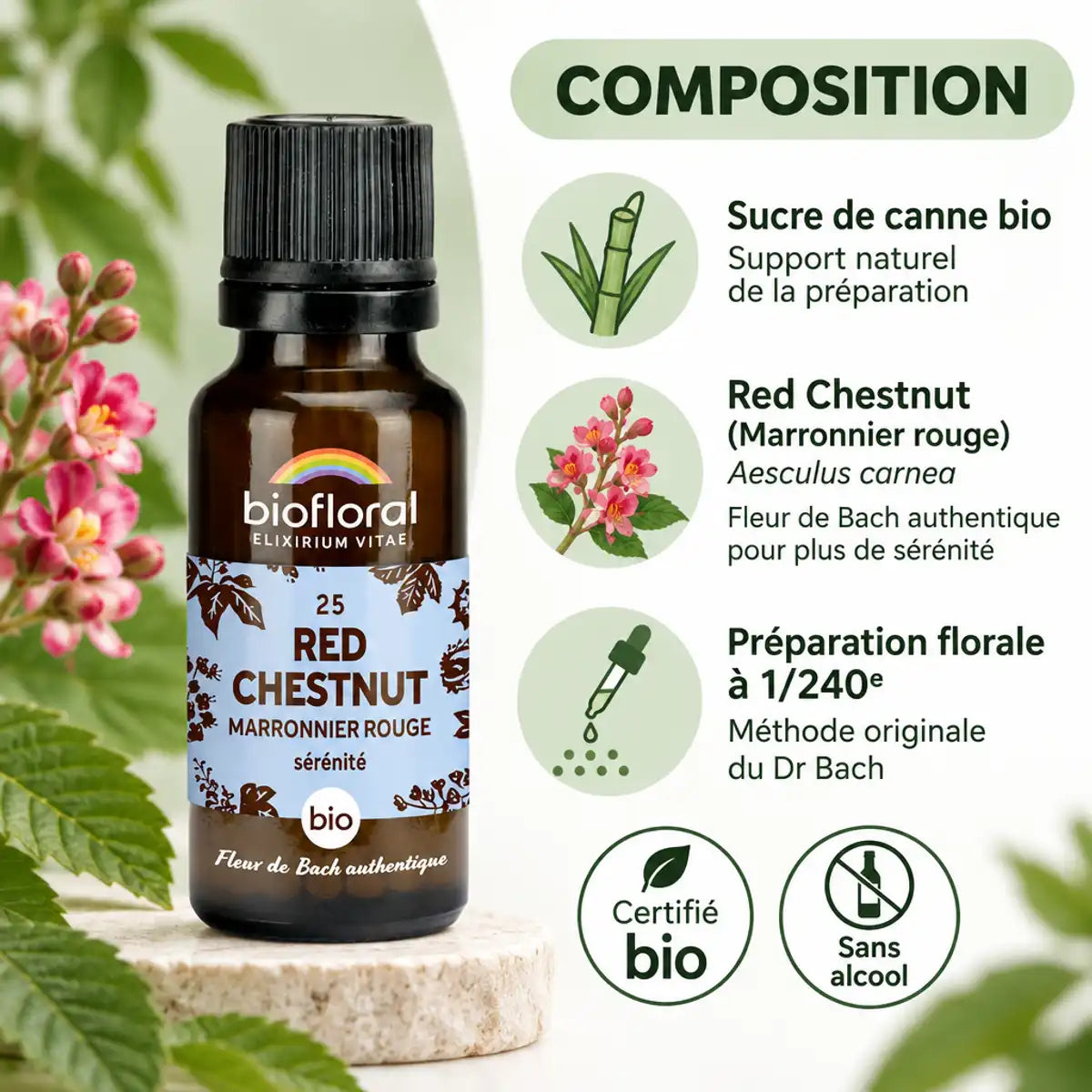 Flacon Fleur de Bach Red Chestnut Marronnier rouge bio en granules Biofloral, avec composition détaillée sur fond blanc et vert sauge